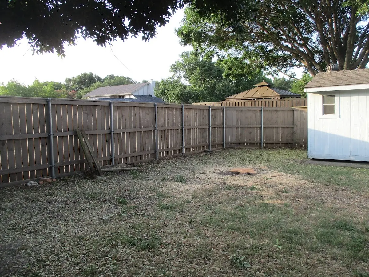 Cleared yard after professional tree removal in Carrolltown